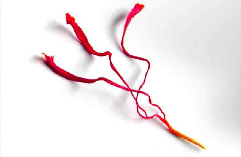 saffron threads